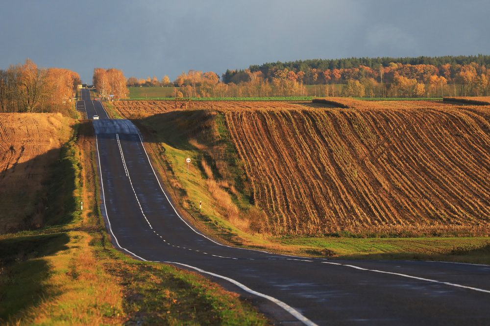 Осенняя дорога.