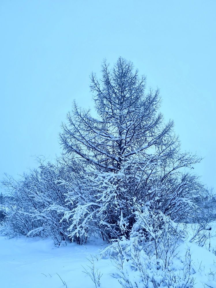 Photograph by Альбина Бугименова