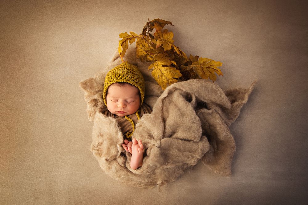 Фотография автора Anita Maggiani