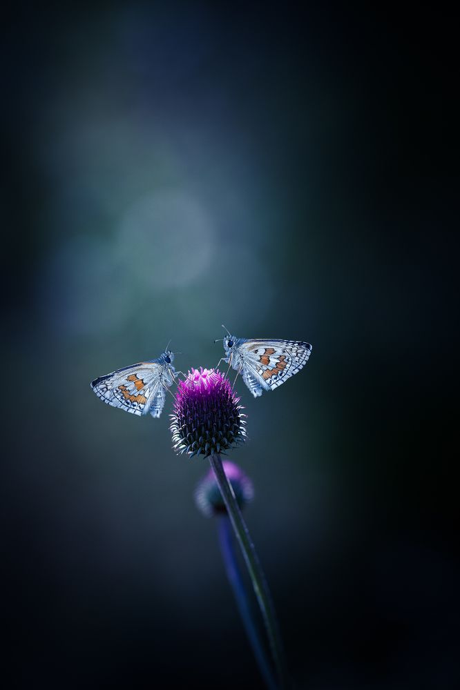 Photograph by Konstantinos Eleftheriadis