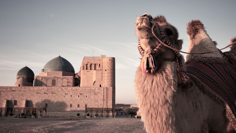 Photograph by Юрий Коваль