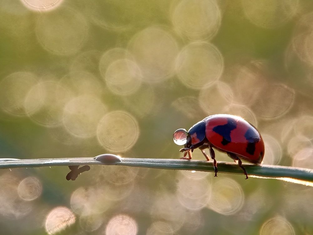 Photograph by Zaki Purnomo