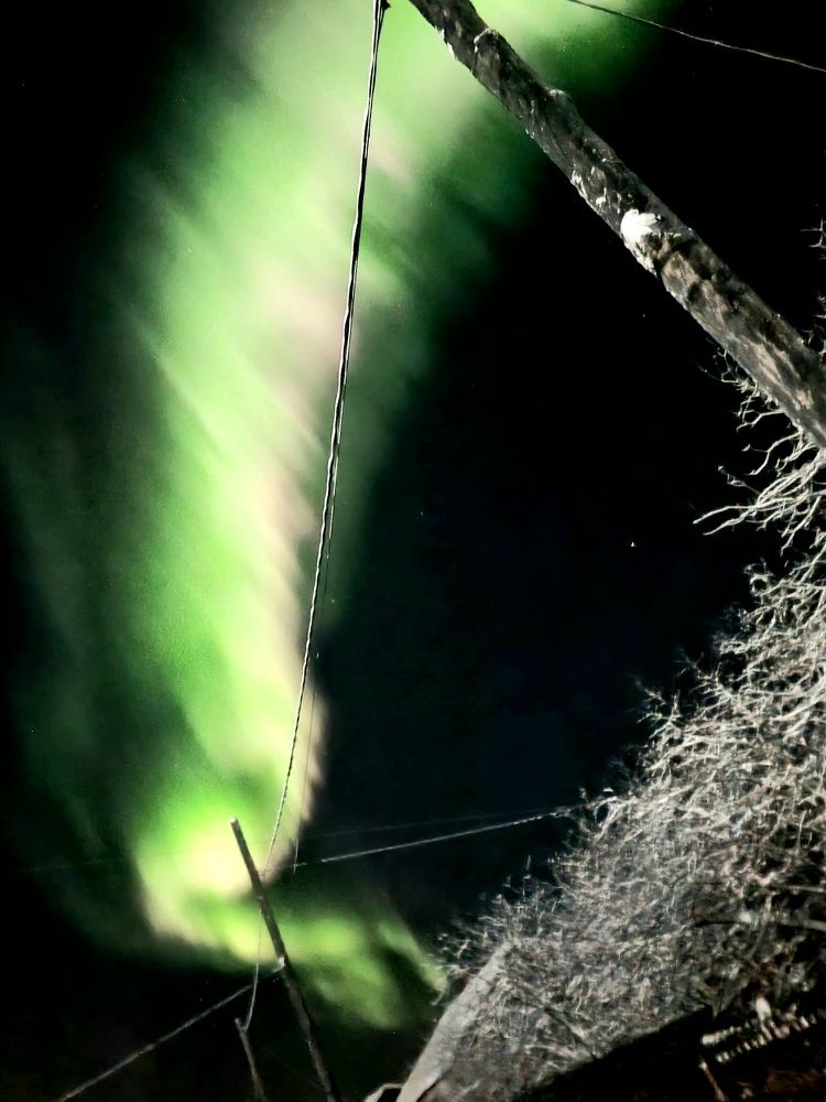 Photograph by Альбина Бугименова