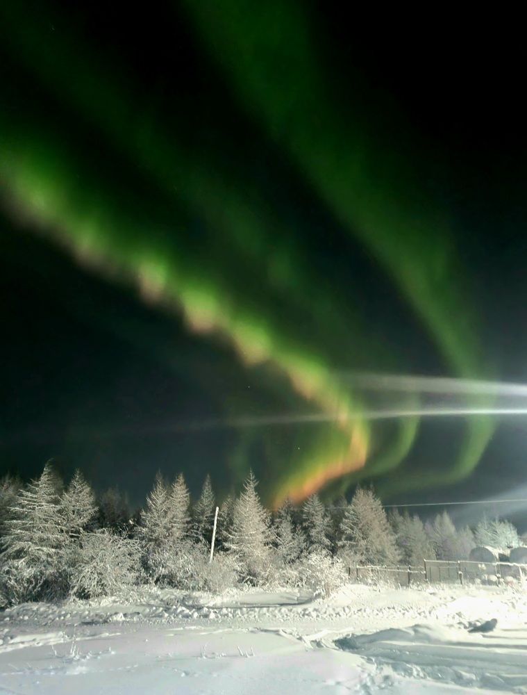 Photograph by Альбина Бугименова