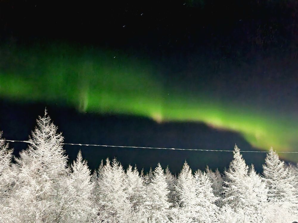 Photograph by Альбина Бугименова