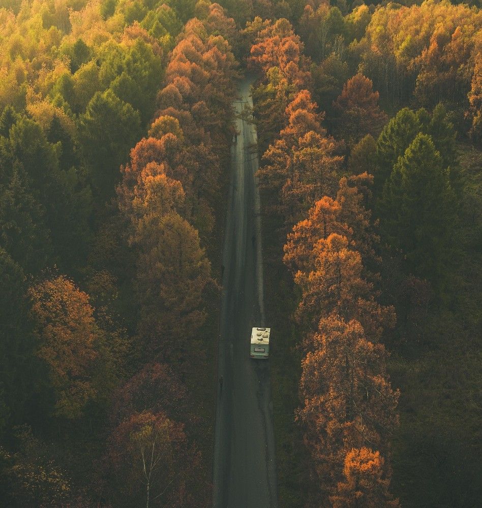 Photograph by Даниил Ларионов