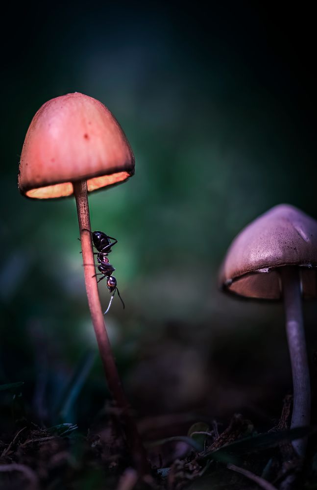 Photograph by Konstantinos Eleftheriadis