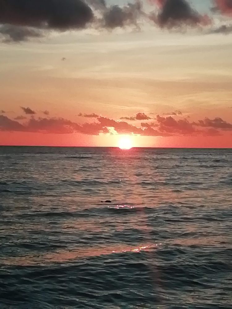 Photograph by Alicia Muñoz