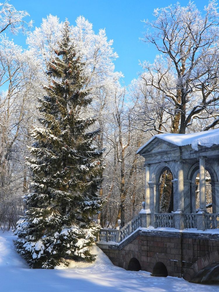 Зимний день в парке.