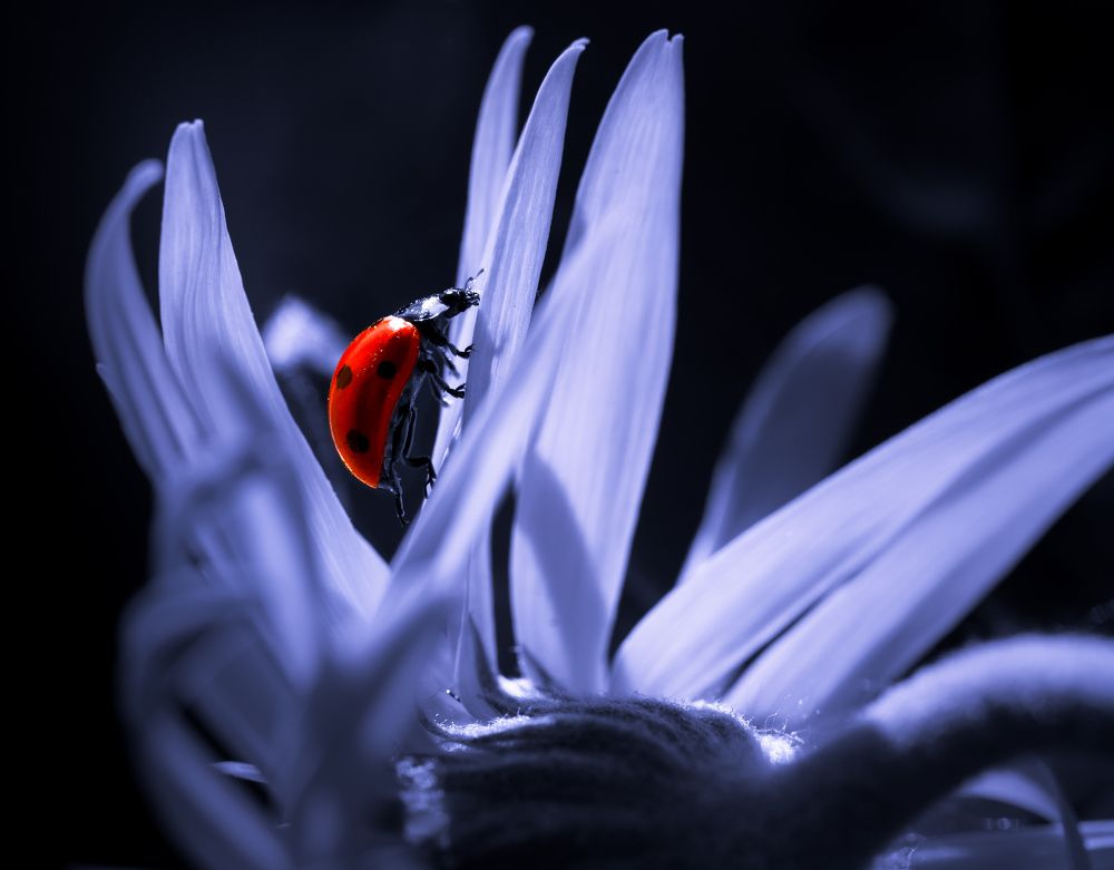 Photograph by Konstantinos Eleftheriadis