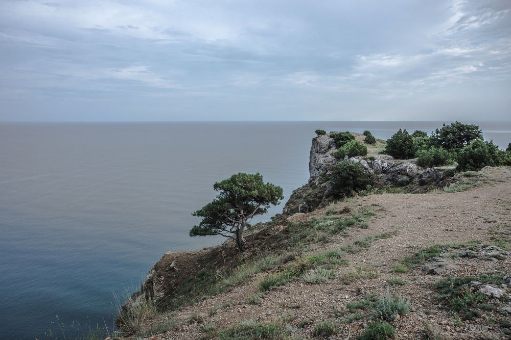 Фотография автора Олег Степушин