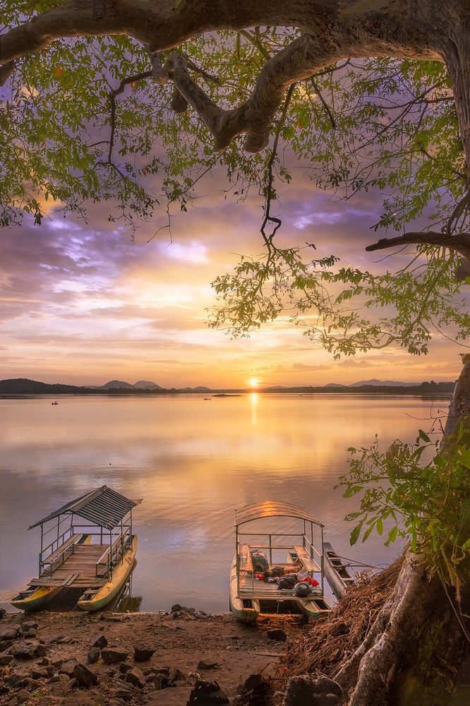 Photograph by Thusara Dilshan