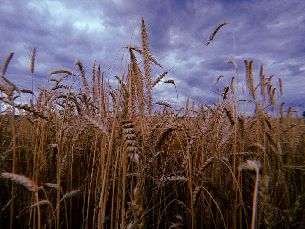 Photograph by Ирина Саватеева