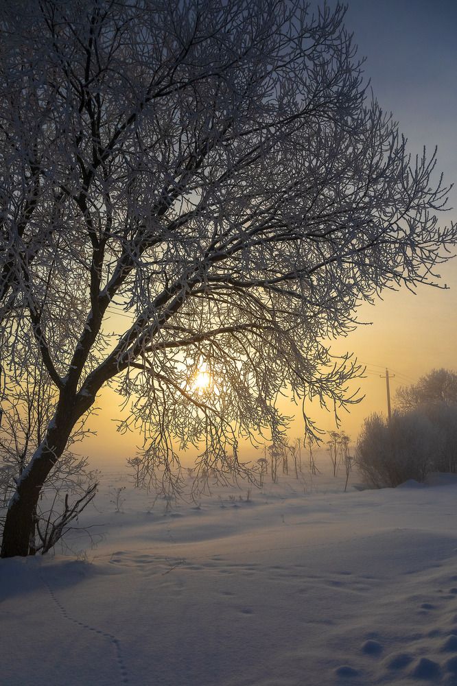 Photograph by Игнатьев Александр