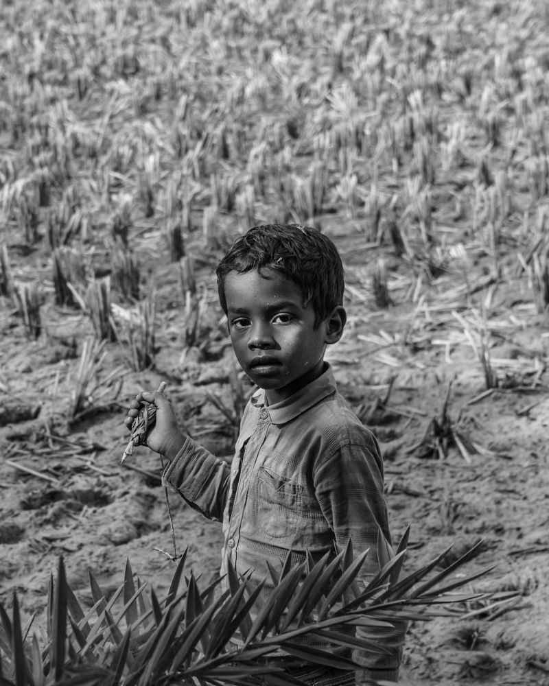 Photograph by Arkoprobho Pal