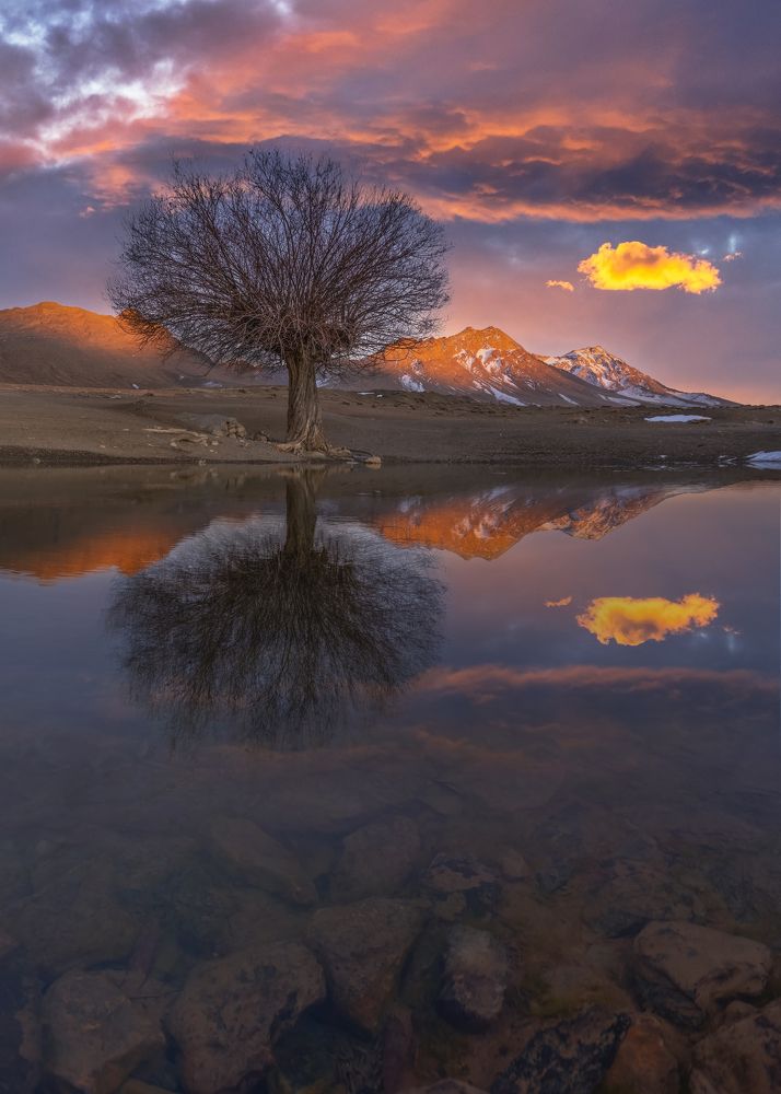 Фотография автора majid arab