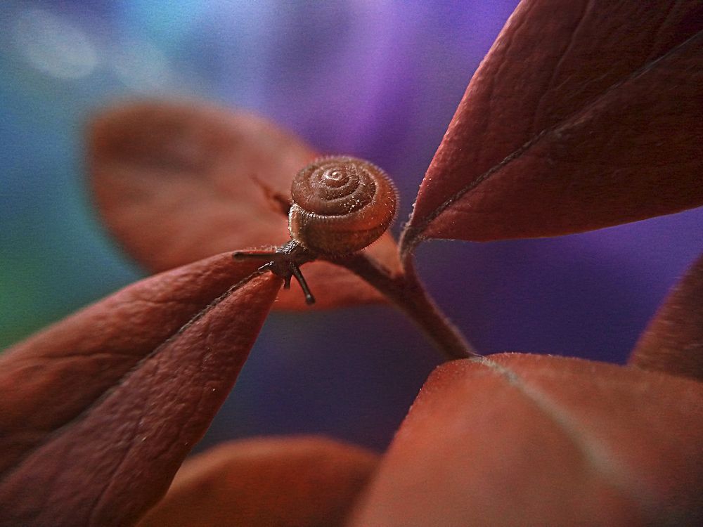 Мы с тобой одного цвета - ты, и я!