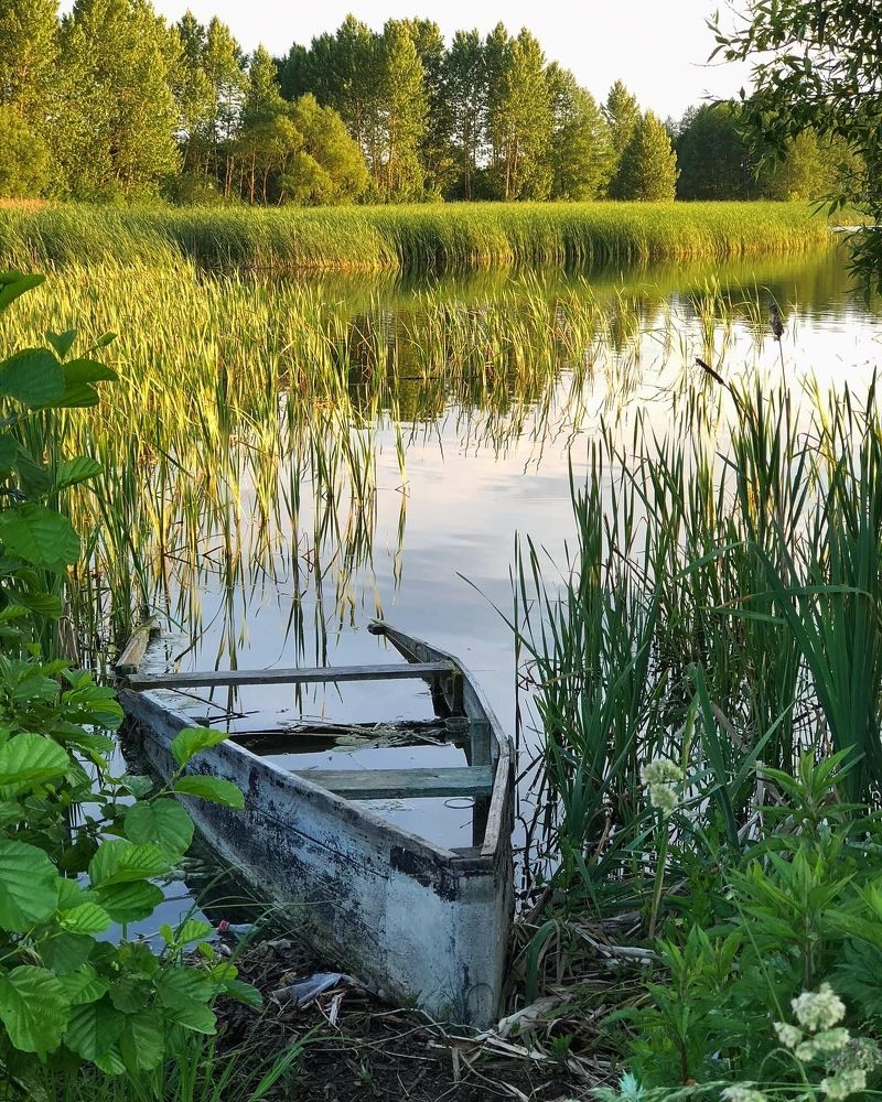 Photograph by Лариса