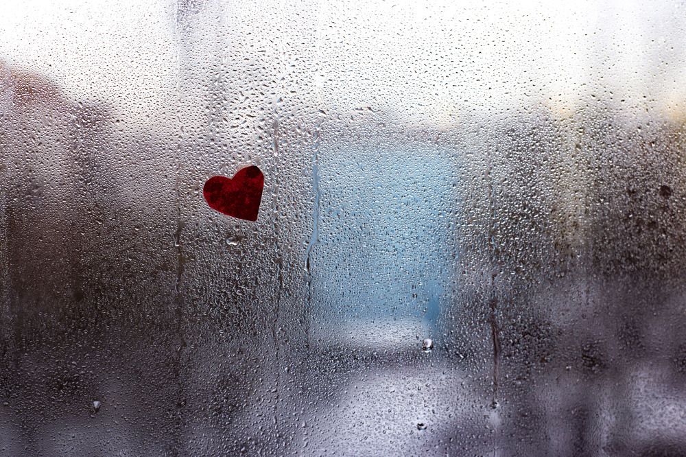 Photograph by Любовь Носова