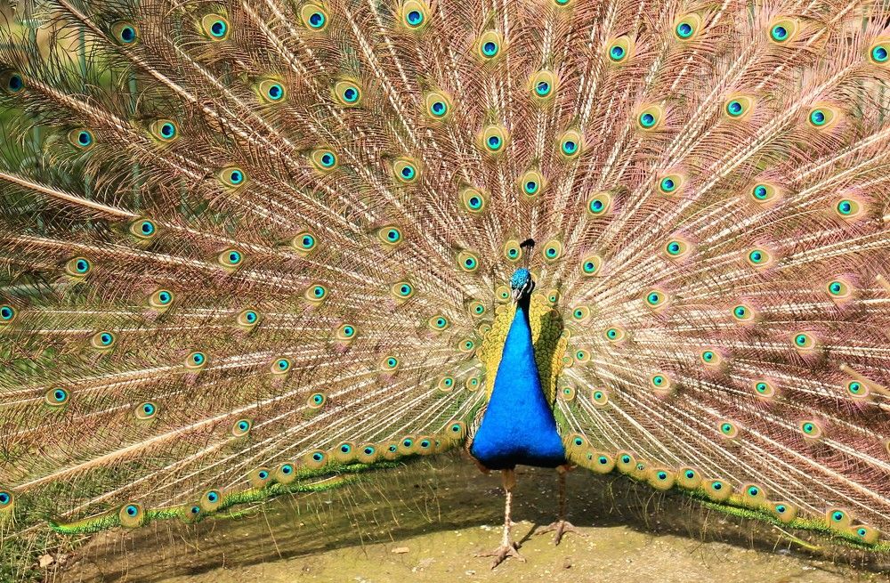 Photograph by Марина Юрченко