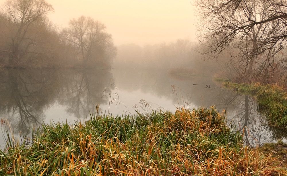 Туманный осенний день