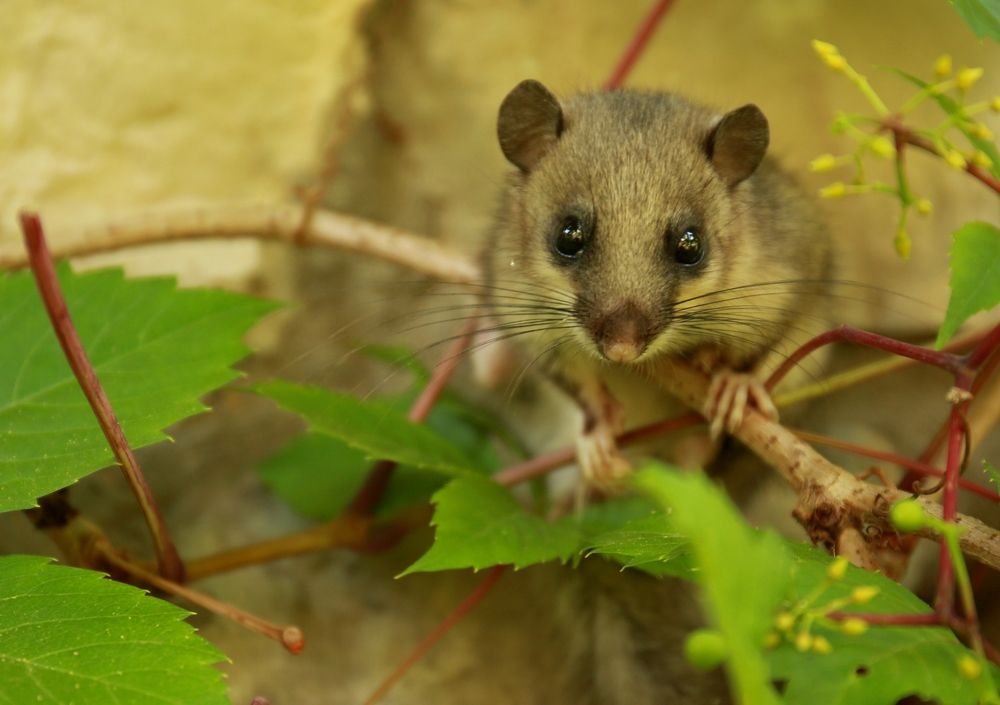 Photograph by Марина Юрченко