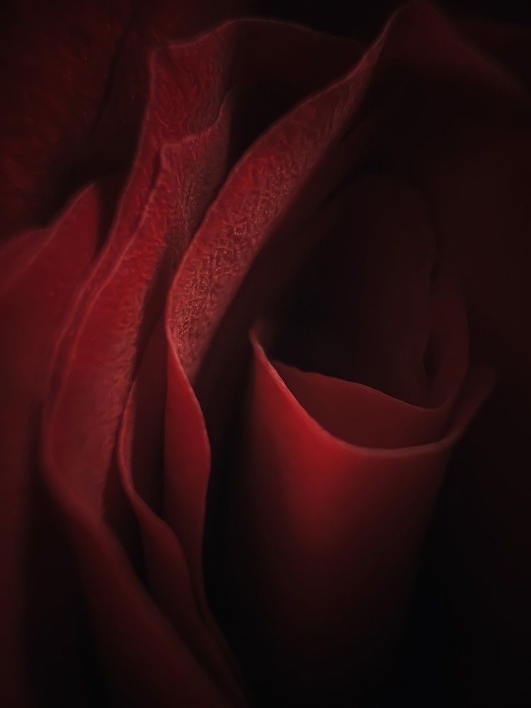 Photograph by Вера Рудик