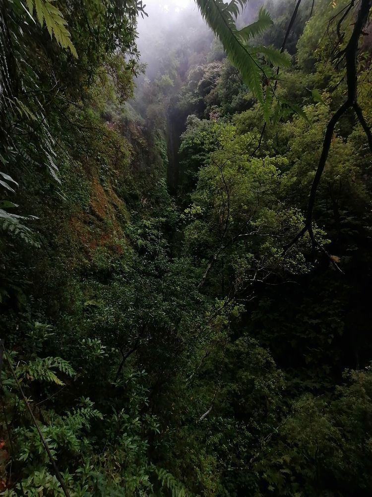 Photo #7276587