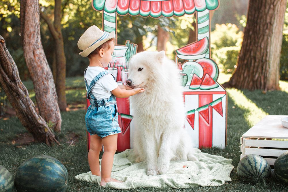 Photograph by Евдокимова Анна