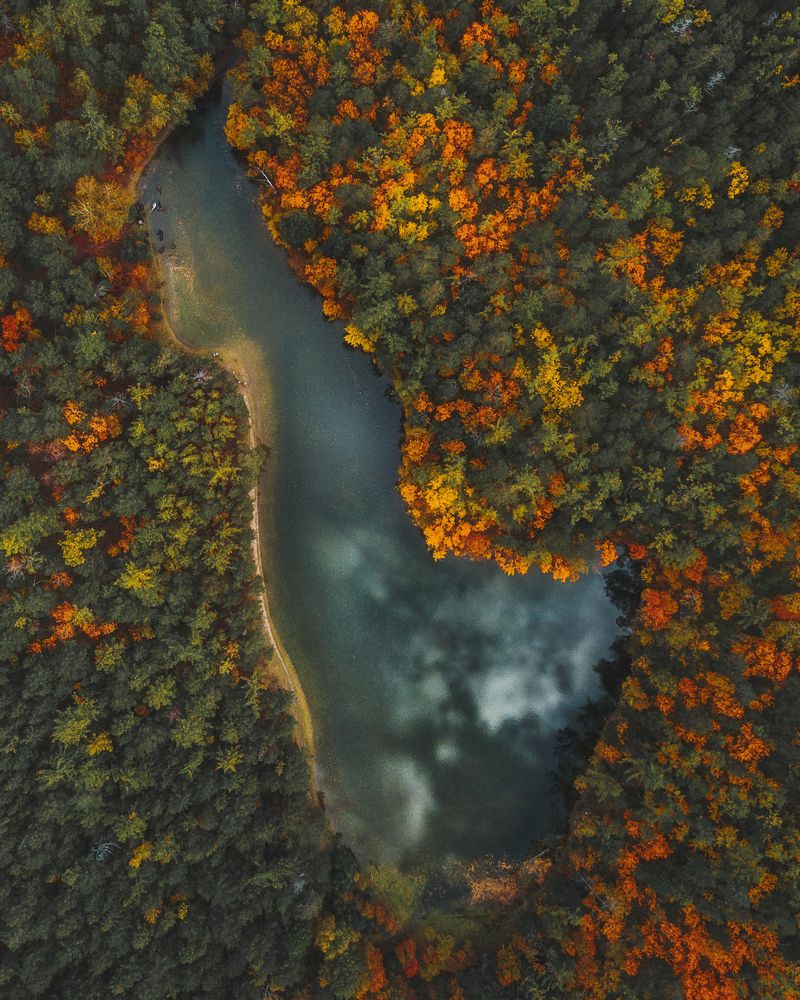 Таёжный оазис