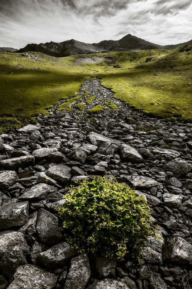 Photograph by Сергей Варыгин