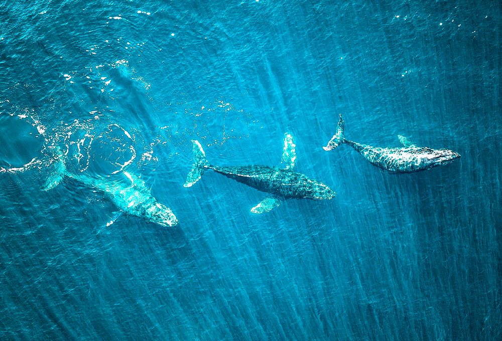 Photograph by Евгений Васенев