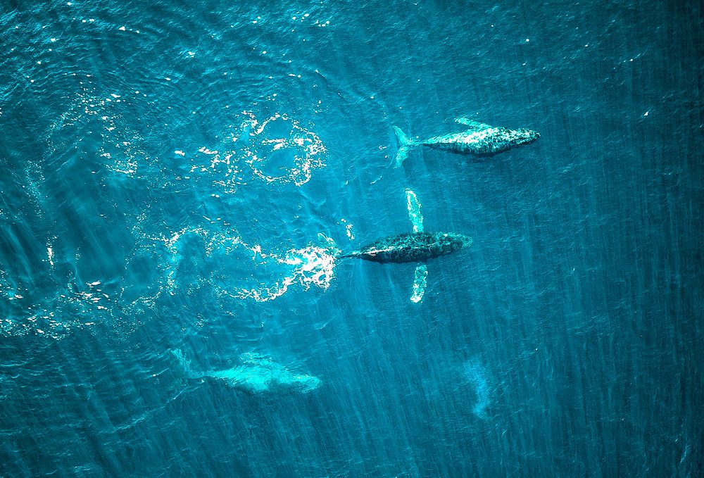 Photograph by Евгений Васенев