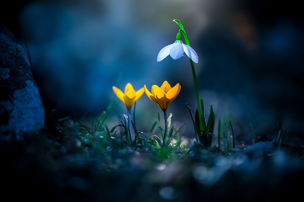 Photograph by Konstantinos Eleftheriadis