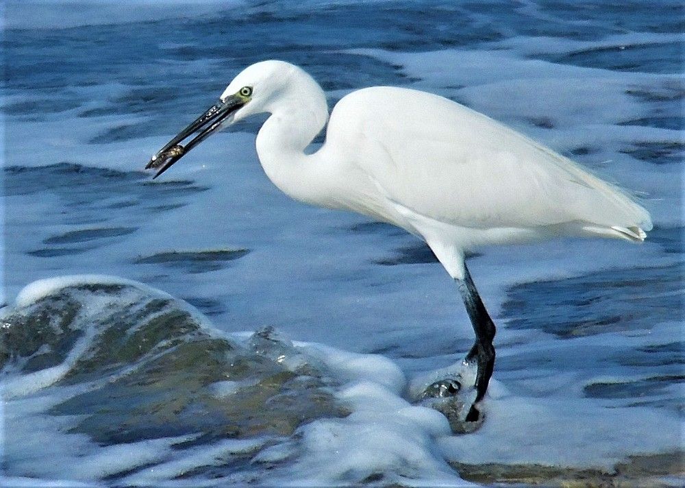 Photograph by Daniel Sharir