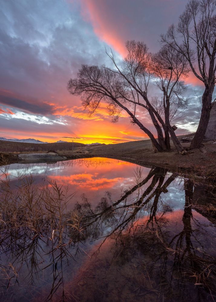 Фотография автора majid arab