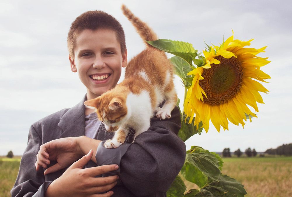 У подсолнуха