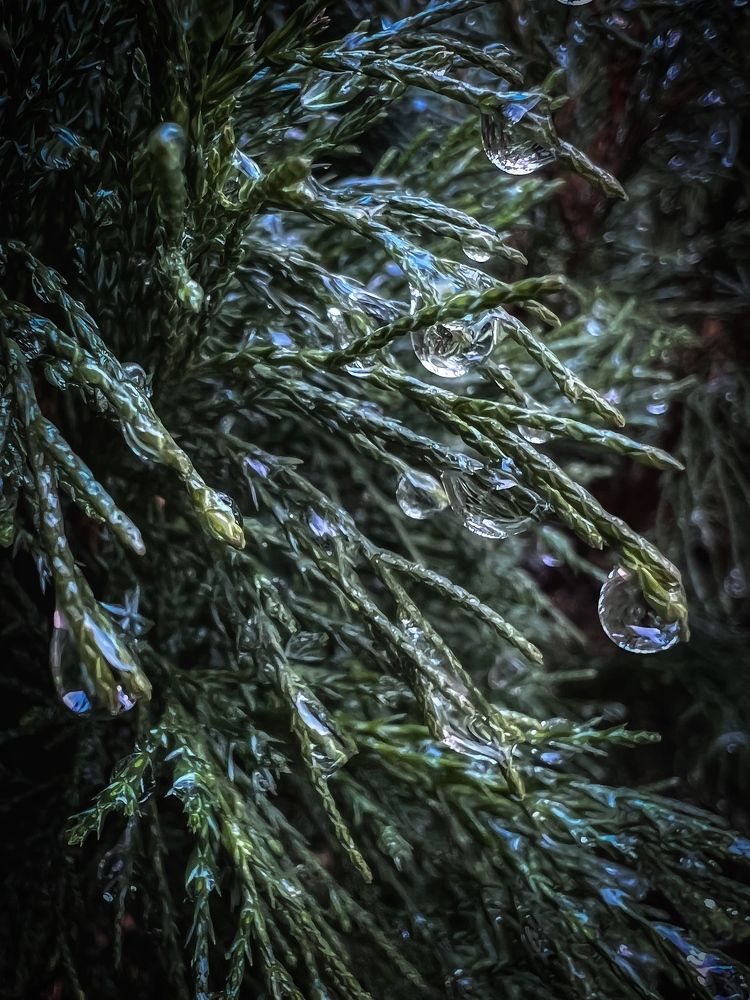 Photograph by Вера Рудик