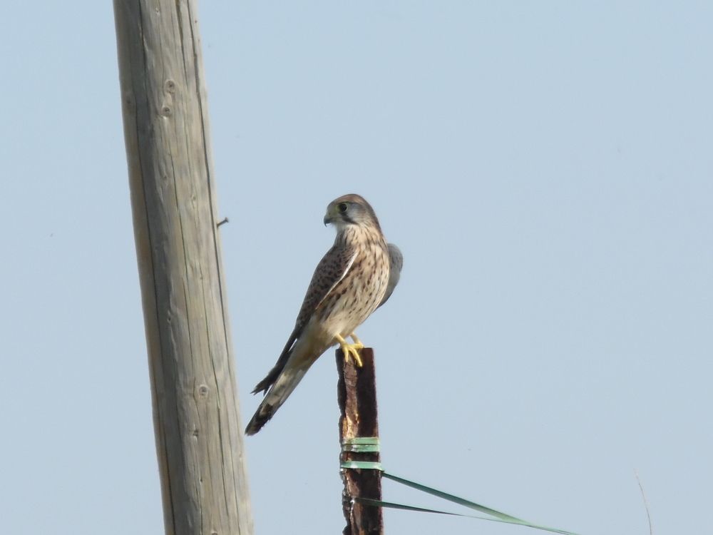 Photograph by Daniel Sharir