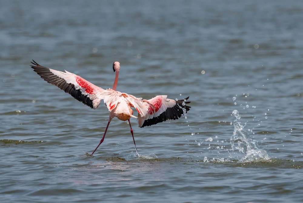 Photograph by Nitin Baste