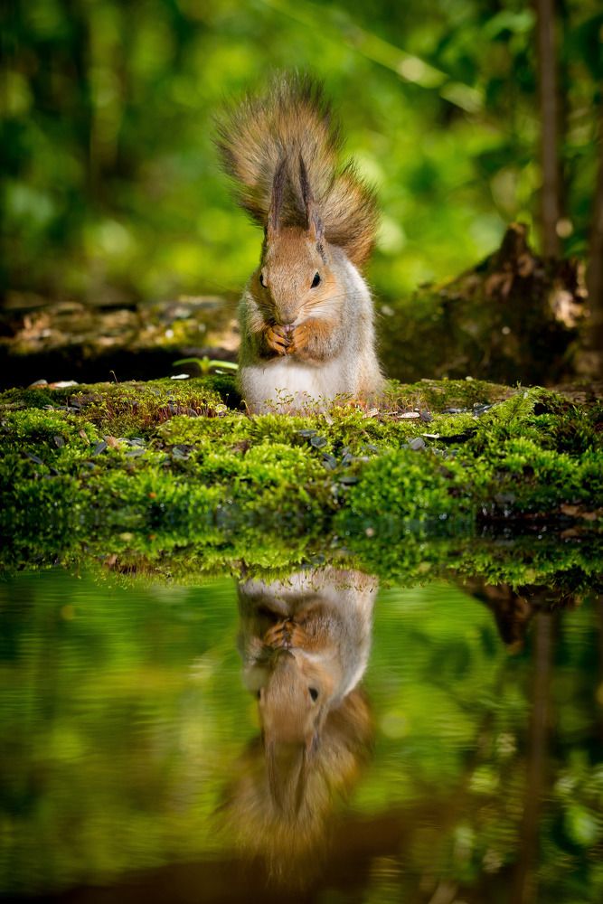 Photograph by Елена Быкова