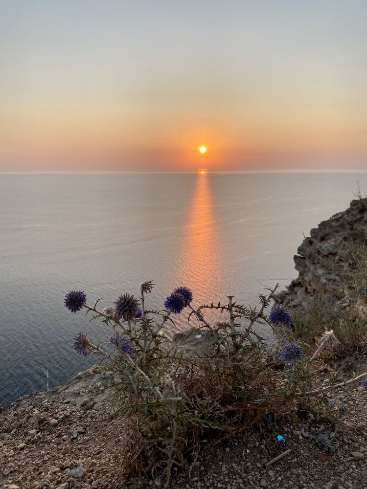 Photograph by Анна Лепихина