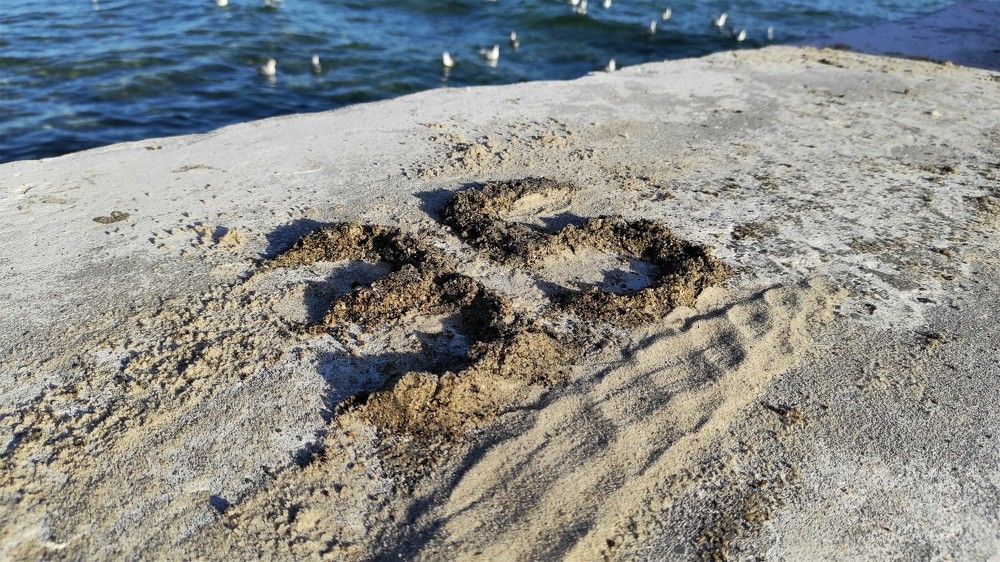 Photograph by Ольга Капко