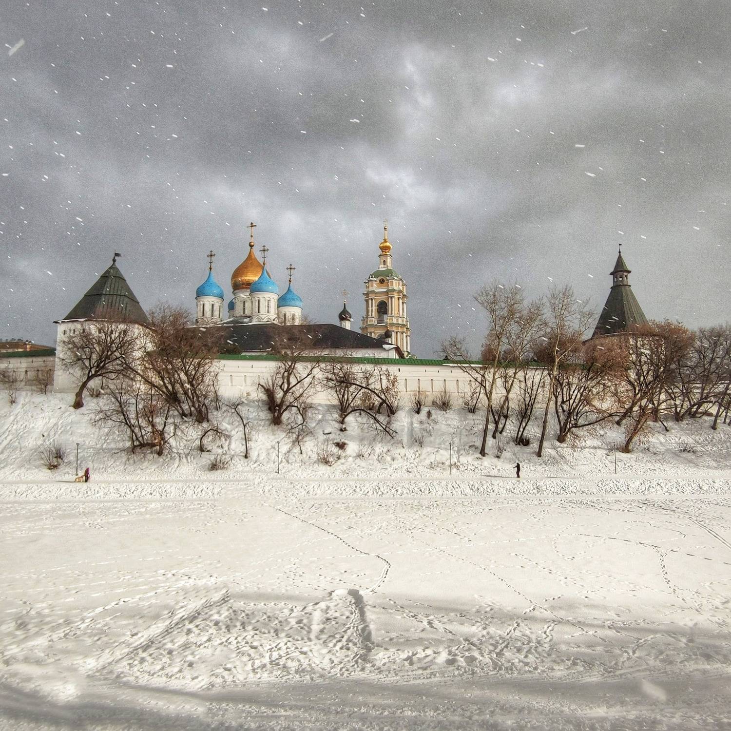 Photo #7276937