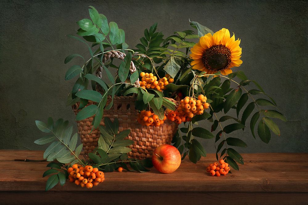 Рябина и подсолнух