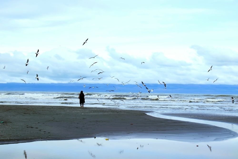 Photograph by mahyar soleimany