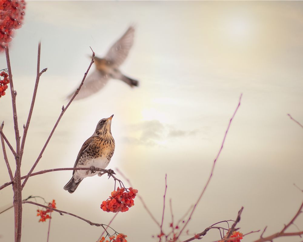 Photograph by 