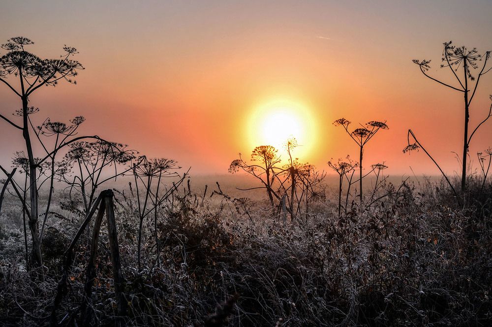 Фотография автора Ковяк Сергей Васильевич
