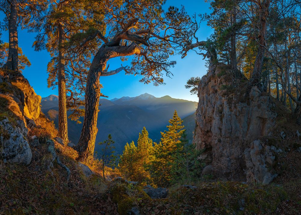 Photograph by Лашков Фёдор