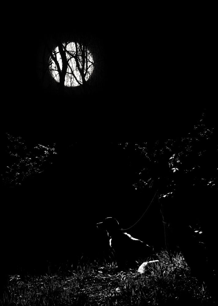 Photograph by Игорь Кутний